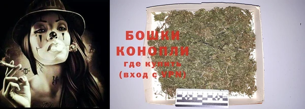 крисы Богданович