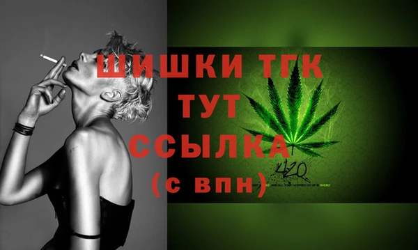 mdpv Богородск