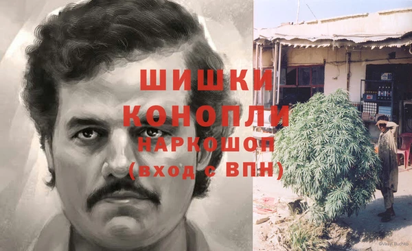 крисы Богданович