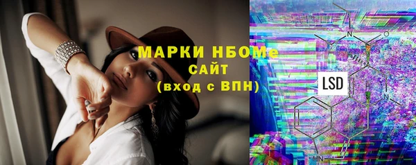 mdpv Богородск