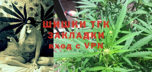 mdpv Богородск