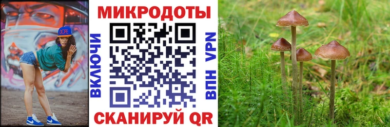 Купить где  Рузаевка  Псилоцибиновые грибы Psilocybine cubensis 